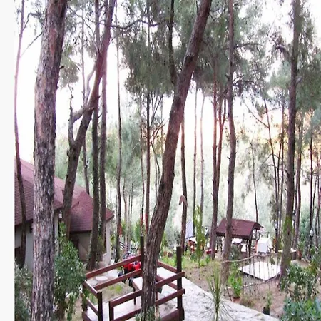 Five Bedroom Living, Triplex With Big Private Garden, Fifty Meters To Sea In Urla, Sleeps Twelve, Three Baths * Urla