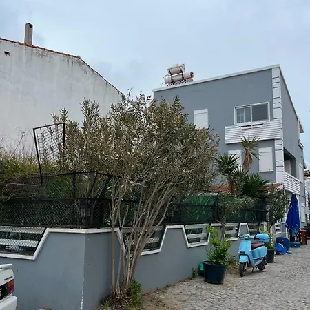 Villa Five Bedroom Living, Triplex With Big Private Garden, Fifty Meters To Sea In Urla, Sleeps Twelve, Three Baths