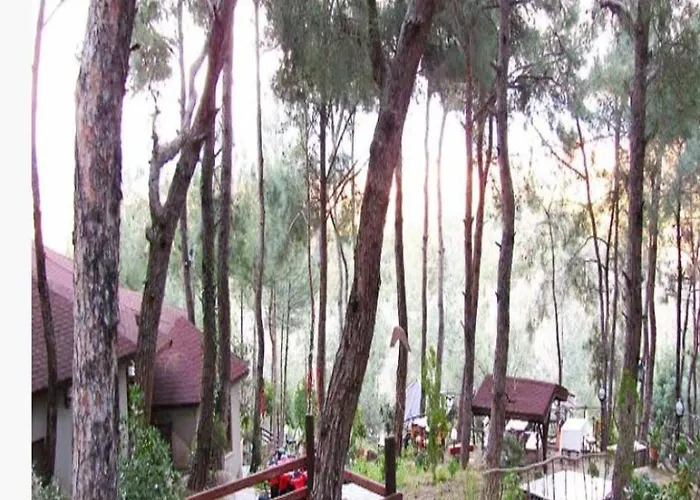 Five Bedroom Living, Triplex With Big Private Garden, Fifty Meters To Sea In Urla, Sleeps Twelve, Three Baths * Urla